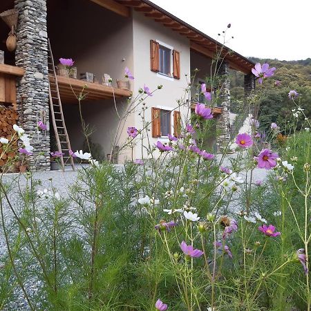 דירות Paesana Semi Al Vento: La Bio-Casa Nel Giardino Incantato! מראה חיצוני תמונה