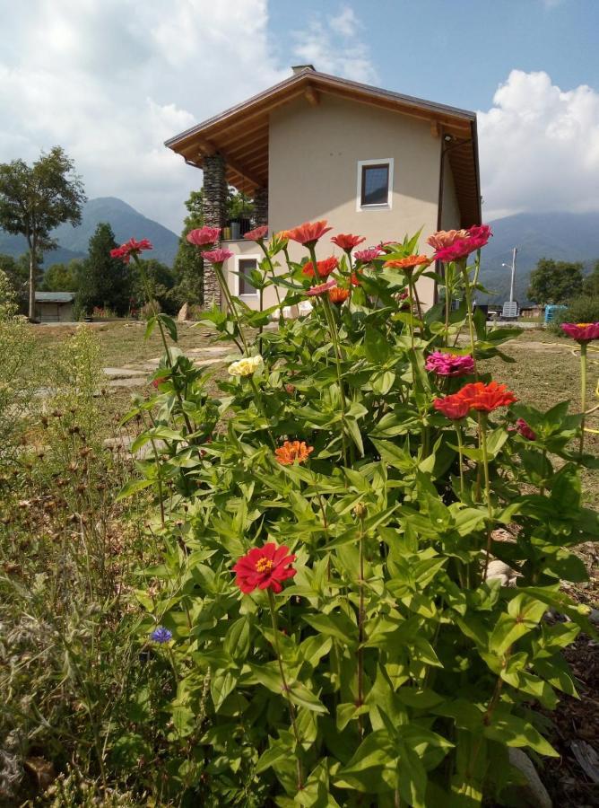 דירות Paesana Semi Al Vento: La Bio-Casa Nel Giardino Incantato! מראה חיצוני תמונה