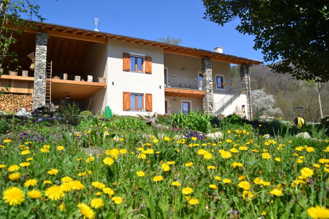 דירות Paesana Semi Al Vento: La Bio-Casa Nel Giardino Incantato! מראה חיצוני תמונה