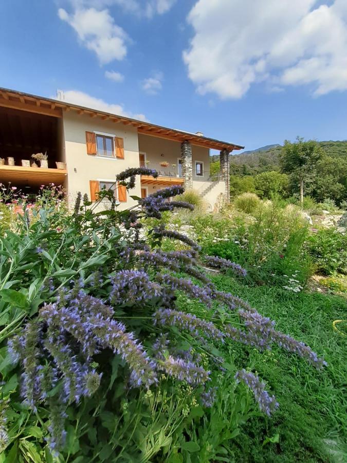 דירות Paesana Semi Al Vento: La Bio-Casa Nel Giardino Incantato! מראה חיצוני תמונה