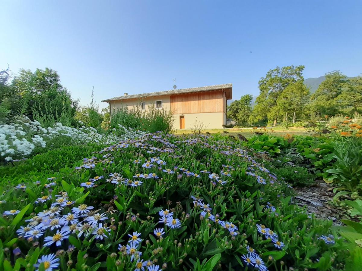 דירות Paesana Semi Al Vento: La Bio-Casa Nel Giardino Incantato! מראה חיצוני תמונה
