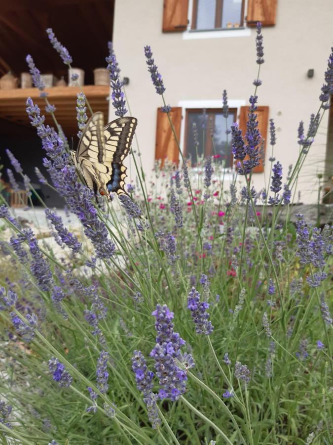 דירות Paesana Semi Al Vento: La Bio-Casa Nel Giardino Incantato! מראה חיצוני תמונה
